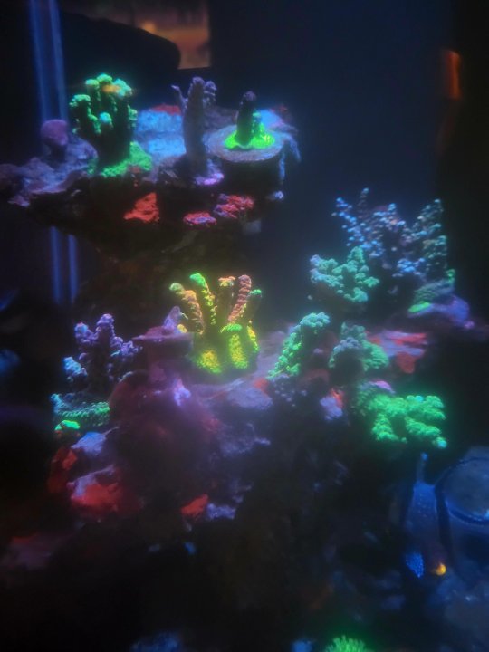 20250519_213412.jpg