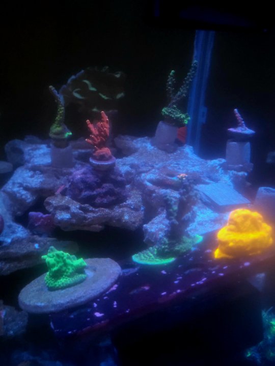 20250519_213432.jpg