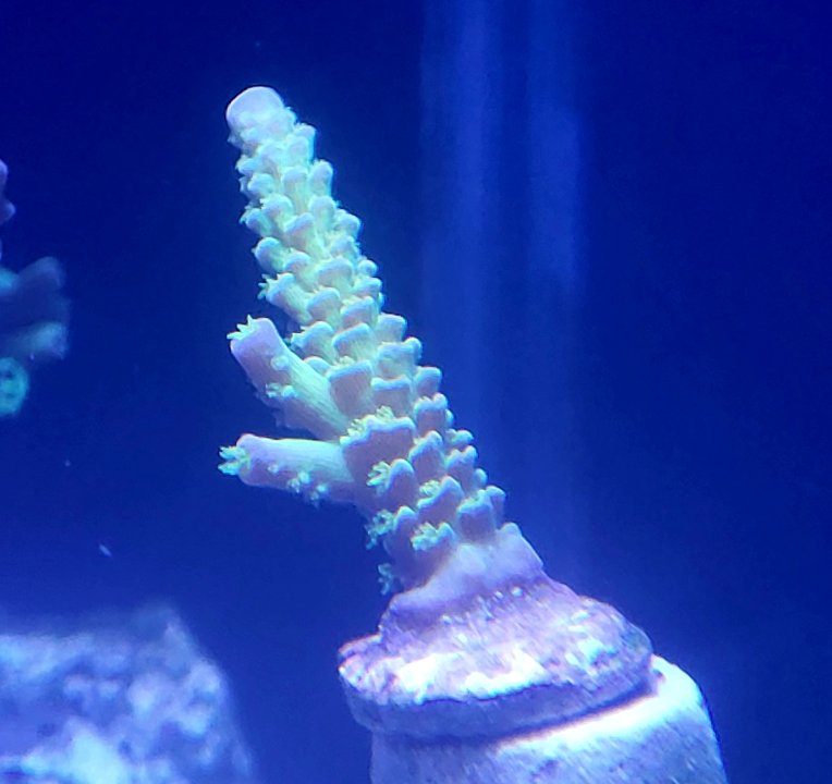 20250524_190707.jpg