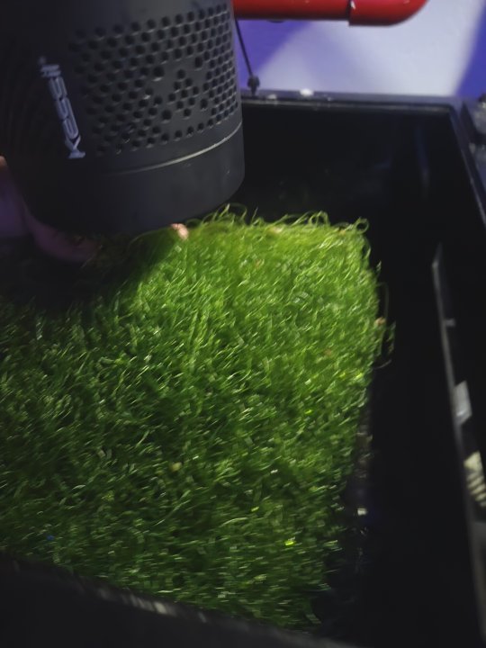 20250608_123147.jpg