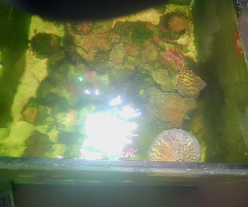 20250615_131041.jpg