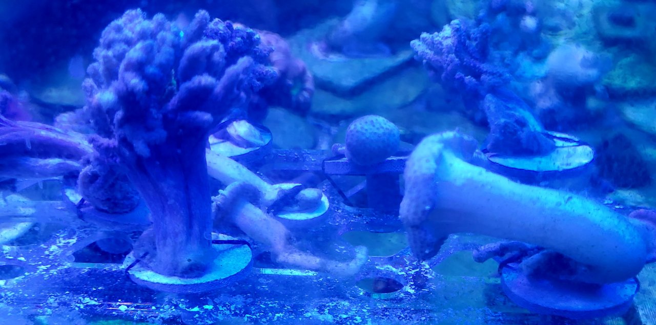 20250618_202155.jpg