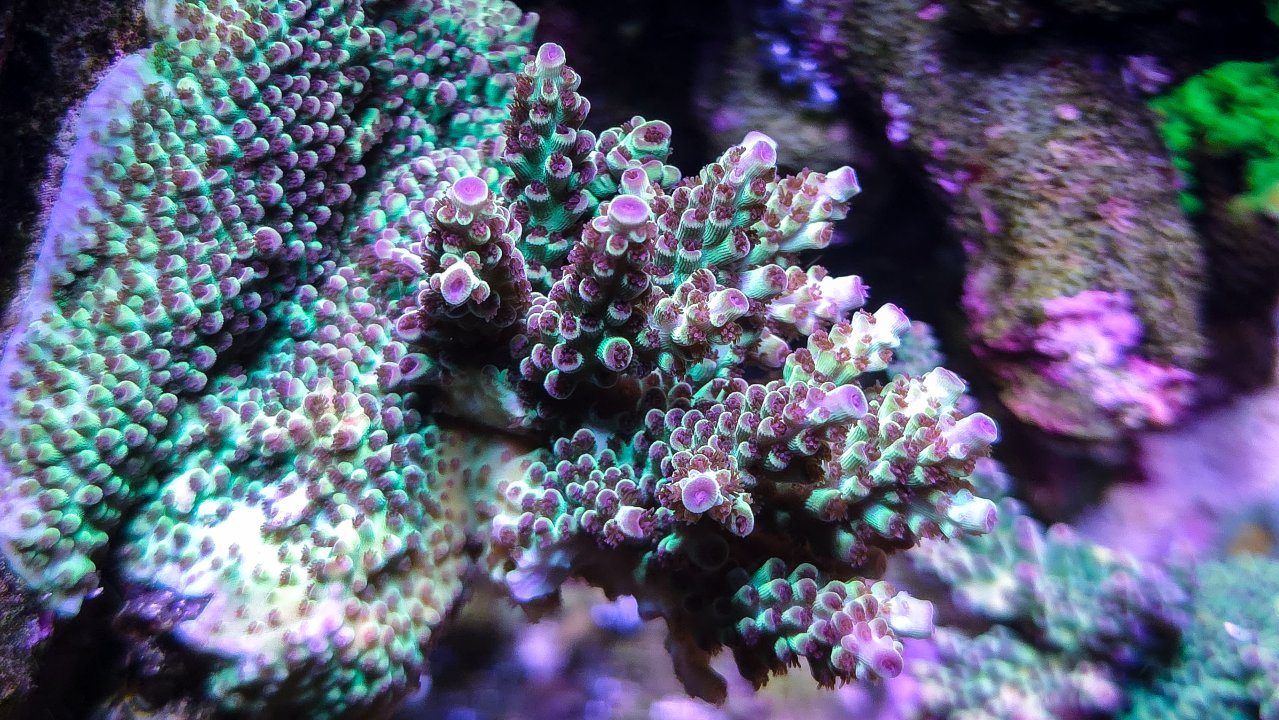 20250622_173452.jpg