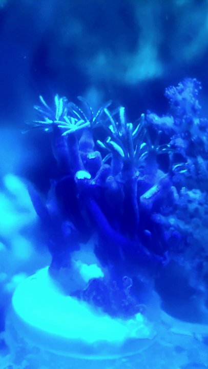 20250623_205634.jpg