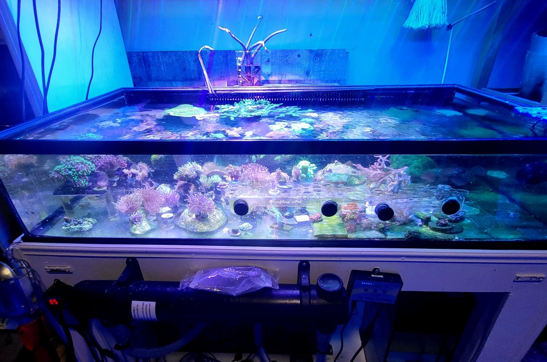 20250629_184705.jpg