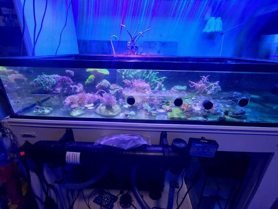 20250629_184720.jpg