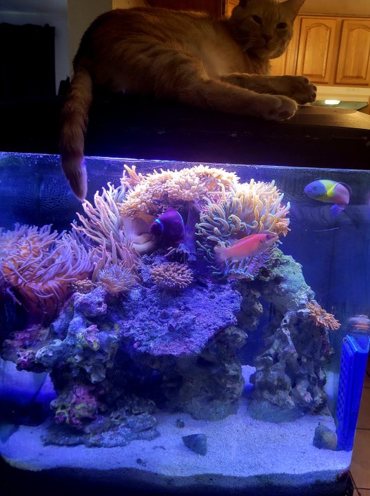 20250629_185251.jpg