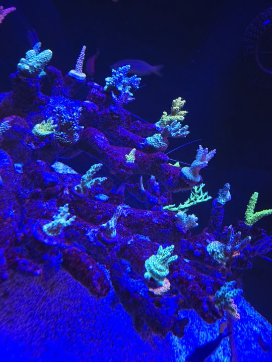 20250701_234014.jpg