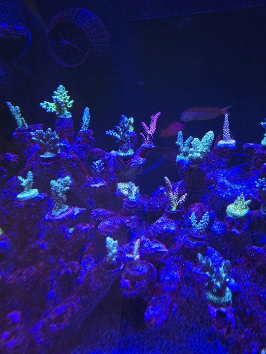 20250701_234024.jpg