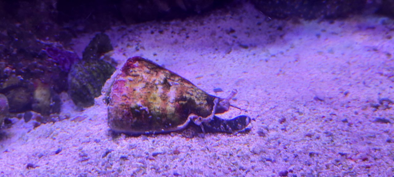 20250704_201530.jpg