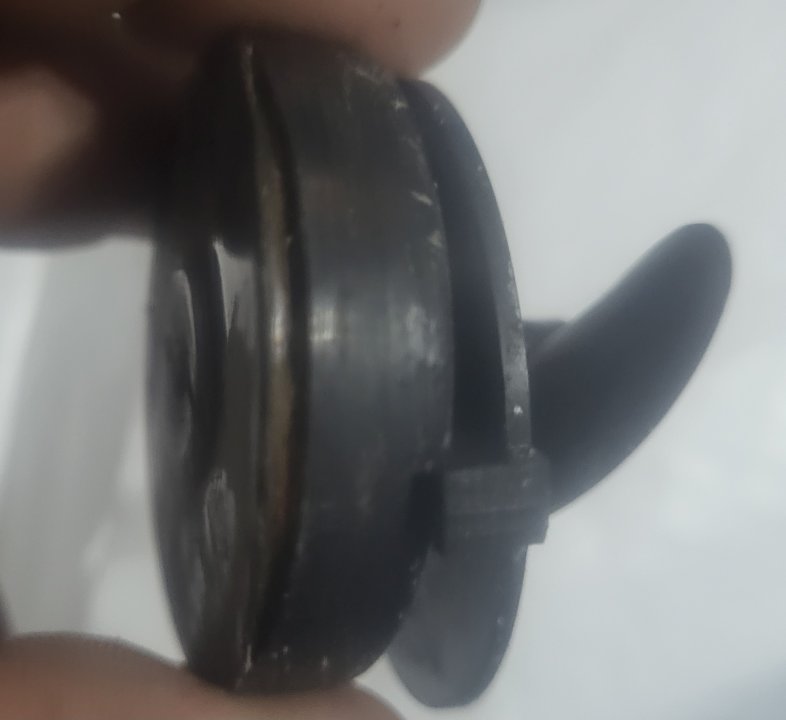 20250710_202531.jpg
