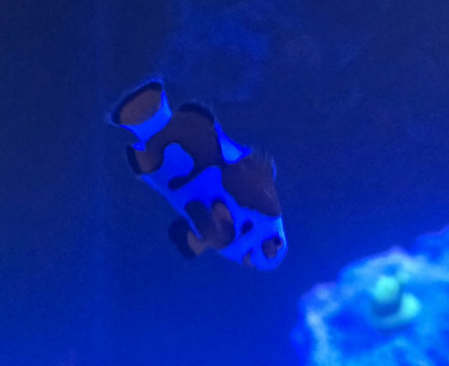 20250717_072109.jpg