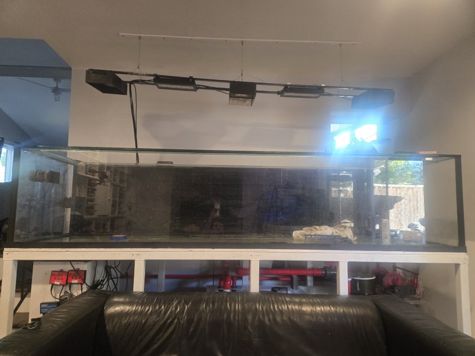 20250804_183540.jpg
