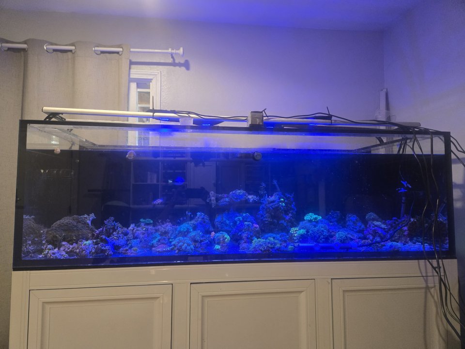 20250804_183601.jpg