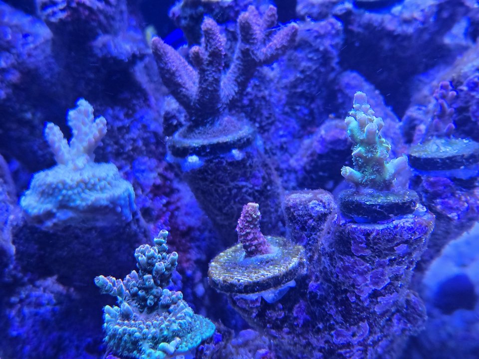 20250817_213951.jpg