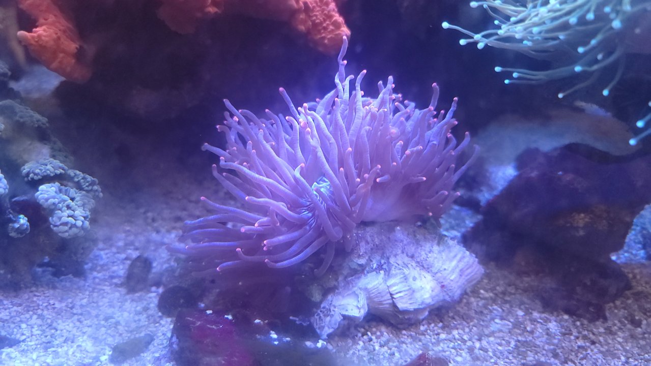 20250826_123632.jpg