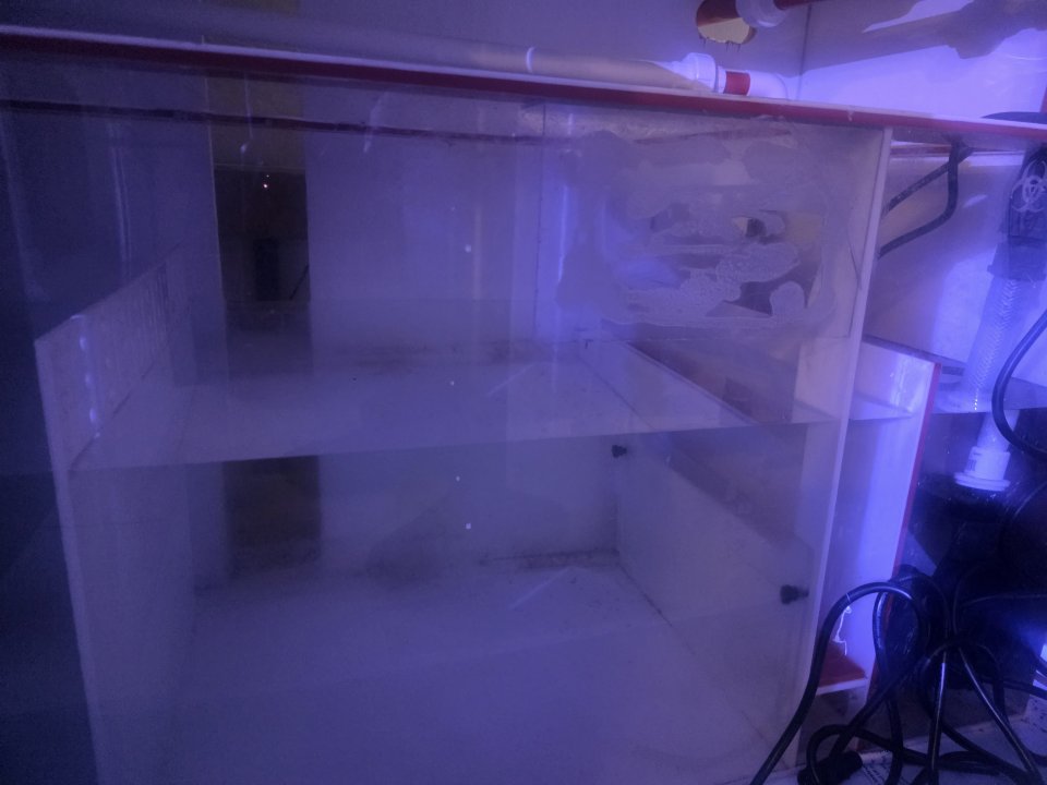 20250826_191131.jpg