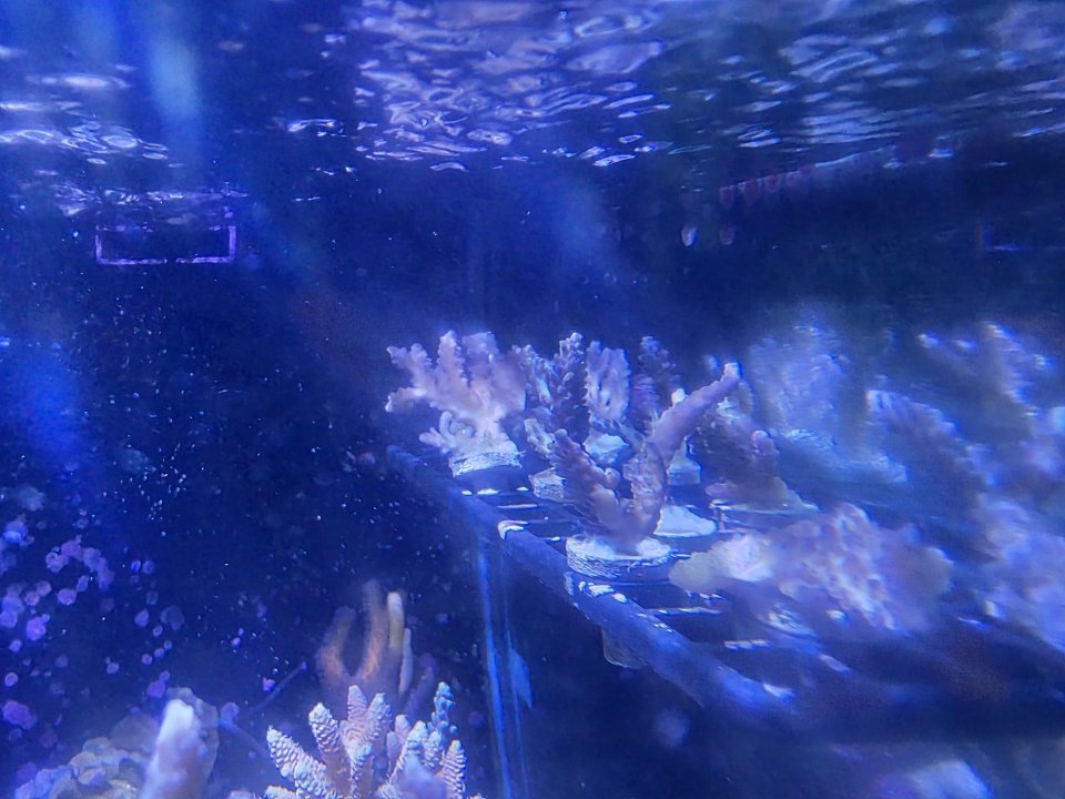 20250827_160026.jpg