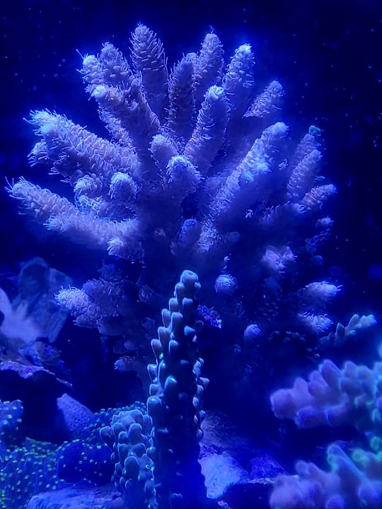 20250828_200227.jpg
