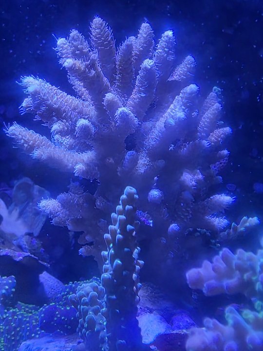 20250828_200227.jpg