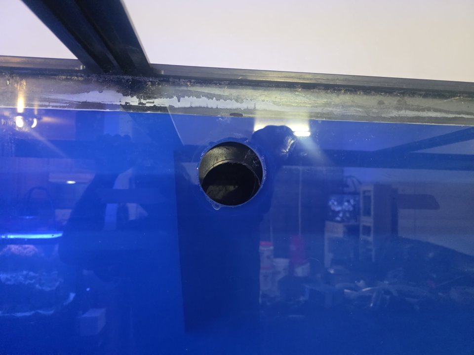 20250831_155914.jpg