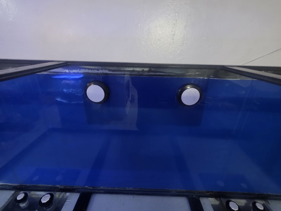 20250831_160516.jpg