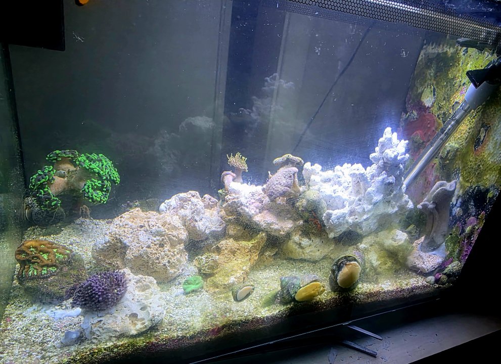 20250902_201259.jpg