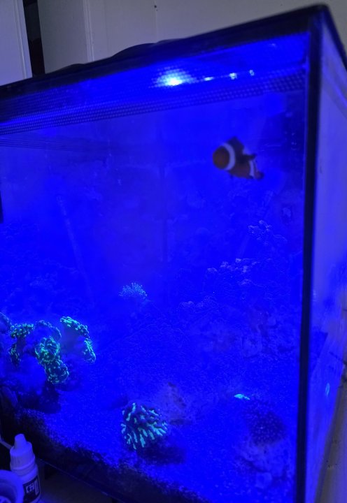 20250902_201316.jpg