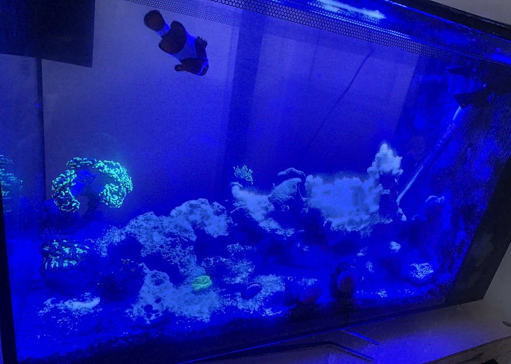 20250902_201329.jpg