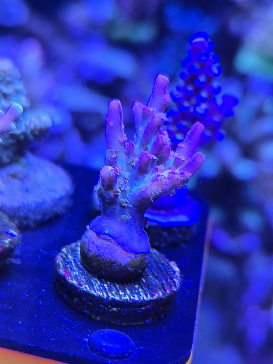 20250904_214136.jpg