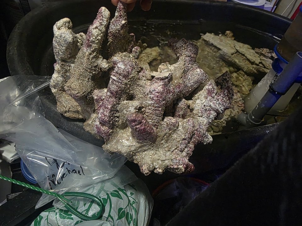 20250908_084854.jpg
