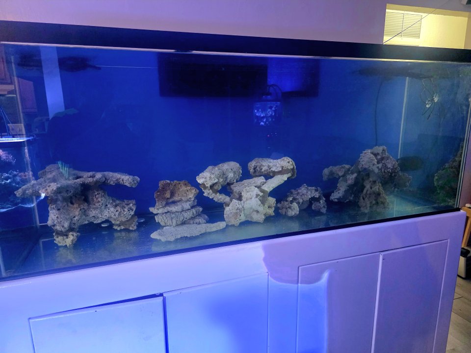 20250915_203925.jpg