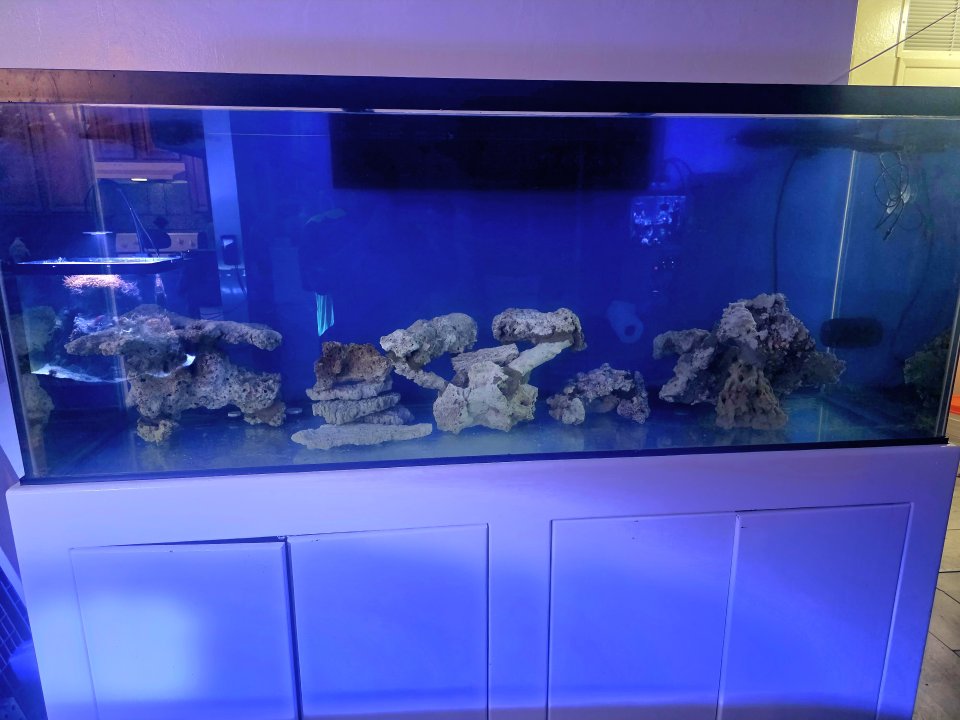 20250915_203932.jpg