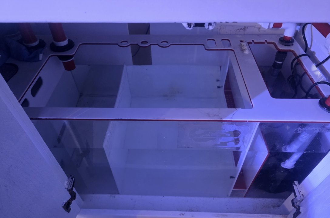 20250915_203954.jpg