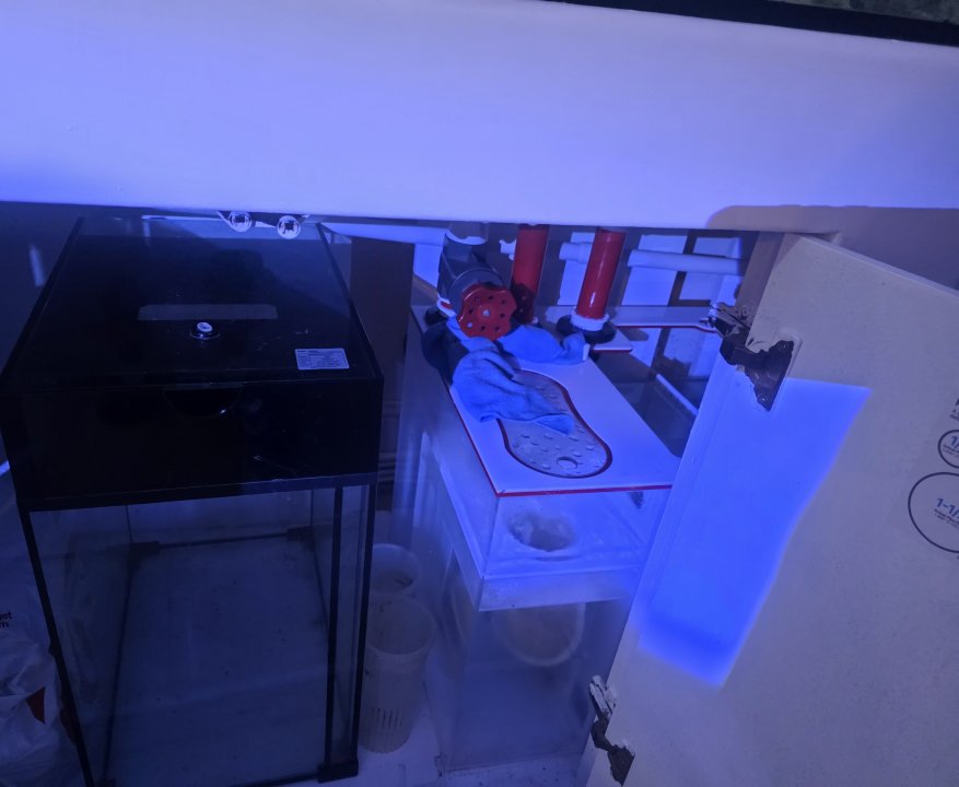 20250915_204009.jpg