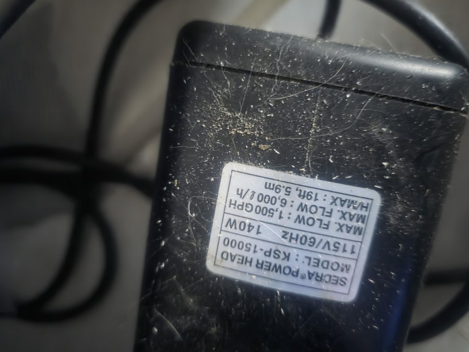 20251003_174627.jpg