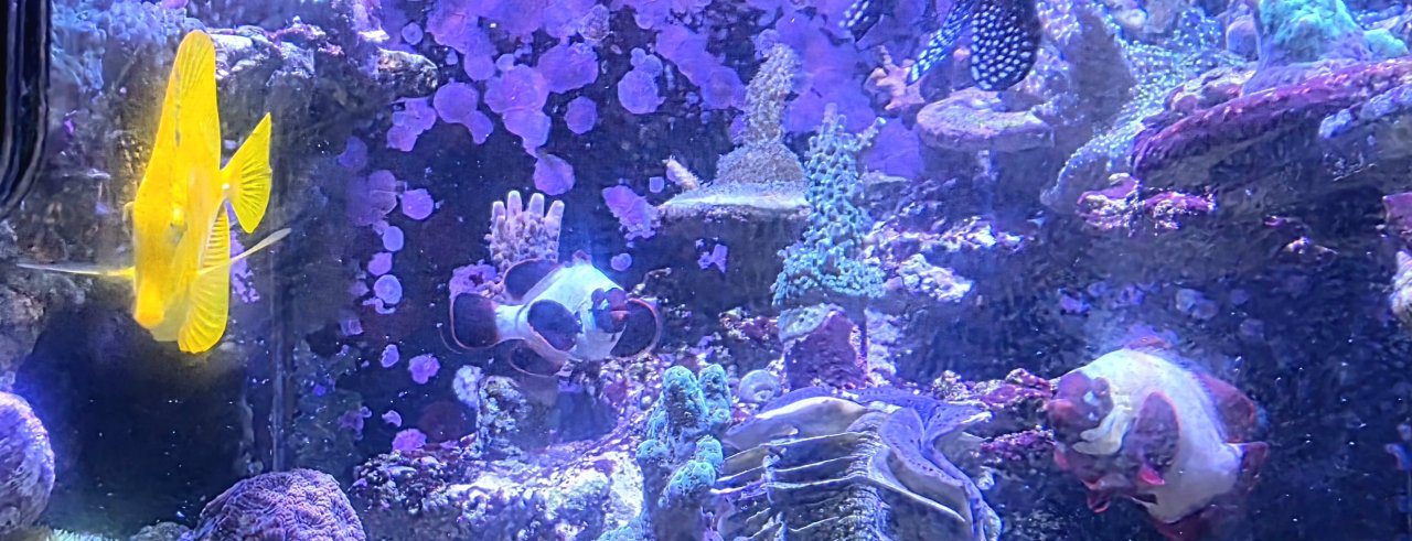 20251012_184534.jpg
