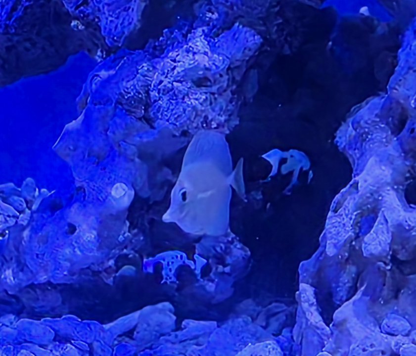 20251012_184613.jpg