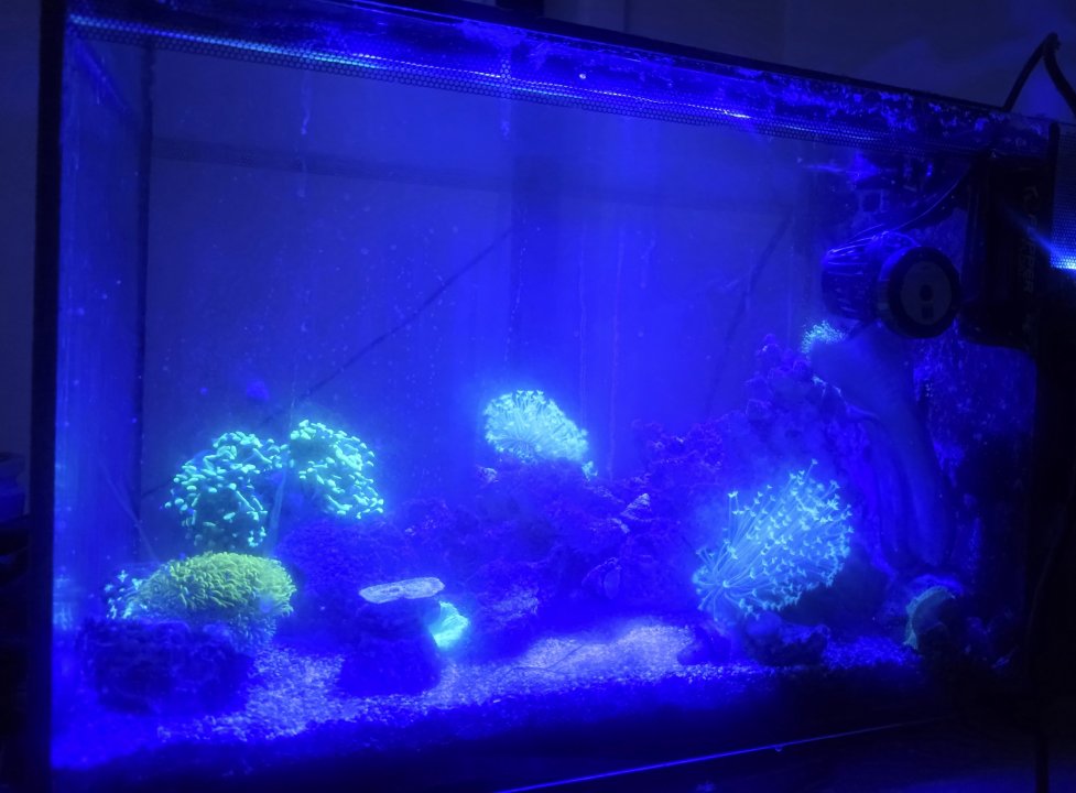 20251019_205051.jpg