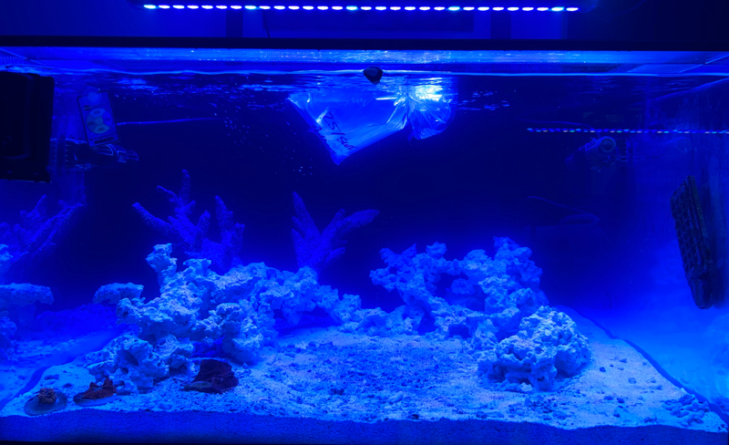 248C2DE9-8CB9-4D08-8612-804E597F84D3.jpg