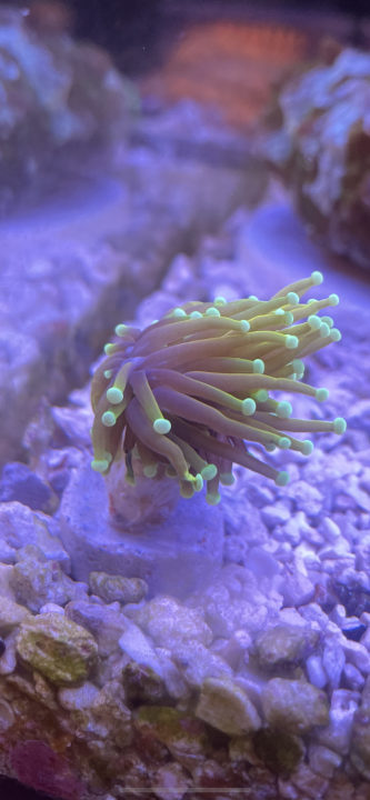 27D616D1-BBA1-458A-942D-57AA0C82CEBC.png