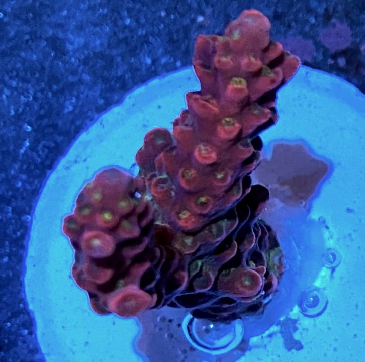 28798342-A3F4-4BBD-B239-04A6724D224F.jpeg