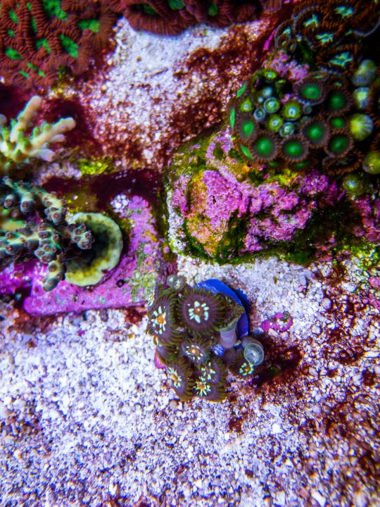 2AAB4649-4A8E-4336-A944-A9B67E149226.jpeg