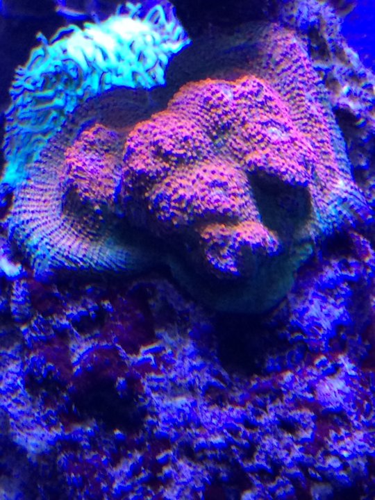 2D2B0B91-0490-4E0E-AD06-EE645D53B888.jpeg
