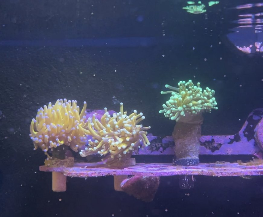 2E3B6DBC-2C70-4A64-A5E1-4C2544802A1B.jpeg