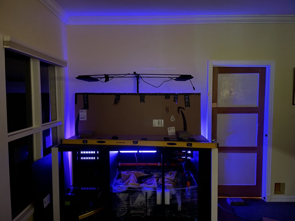 3 in backlight.jpg