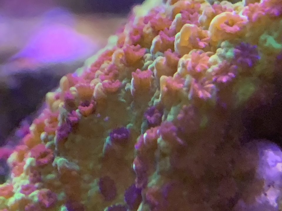 31028009-E8B8-48EA-A4CF-9294B012DDA8.jpeg