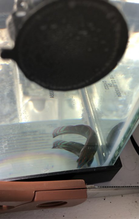 31F9B08B-B497-44AC-AF37-C97A0F1D50AA.jpeg