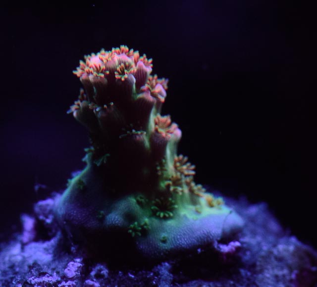 3B59C58E-D474-47F4-9E77-3388D69C9B4A.jpeg