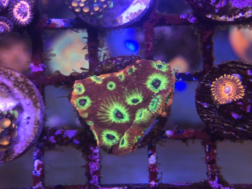 3EB18BC6-C6D8-4808-B136-B745399B9E57.jpeg